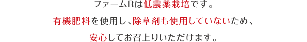 ファームRは低農薬栽培です。有機肥料を使用し、除草剤も使用していないため、安心してお召上りいただけます。