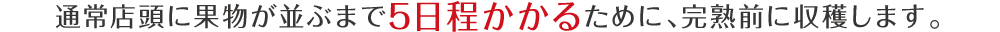 通常店頭に果物が並ぶまで5日程かかるために、完熟前に収穫します。