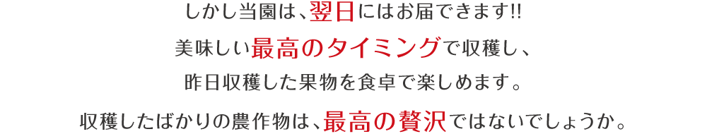 しかし当園は、翌日にはお届できます!!美味しい最高のタイミングで収穫し、昨日収穫した果物を食卓で楽しめます。収穫したばかりの農作物は、最高の贅沢ではないでしょうか。